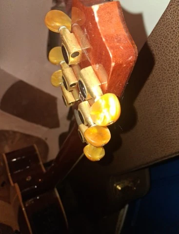 Takamine P4DC