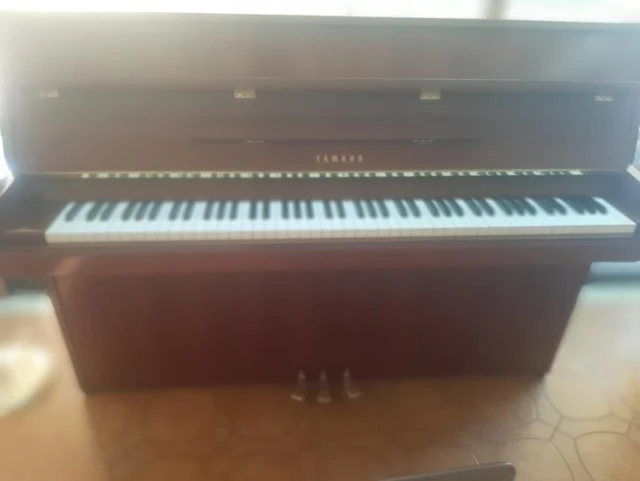 Yamaha M1 JR