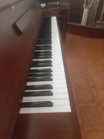 Yamaha M1 JR
