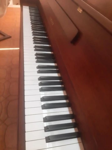 Yamaha M1 JR