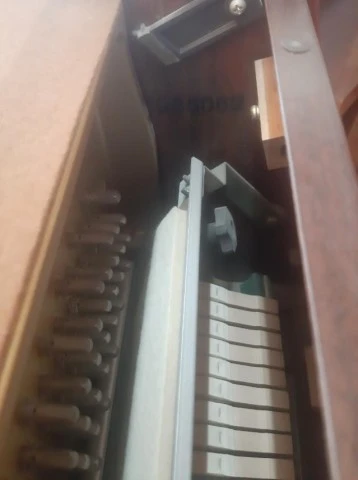 Yamaha M1 JR