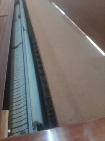 Yamaha M1 JR