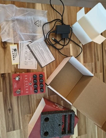 Flamma FS22 Stereo Delay & Reverb