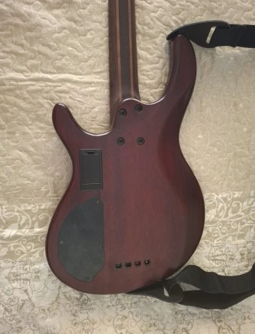 Cort Artisan B4 Element