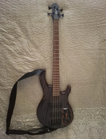 Cort Artisan B4 Element