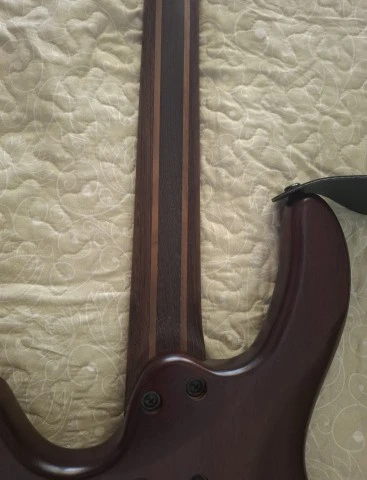 Cort Artisan B4 Element