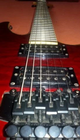 Hamer Californian Elite