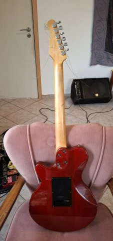 Godin SD 24