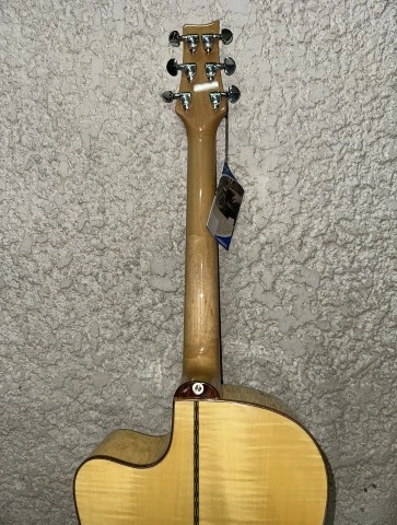 Ashton J59 CEQ Solid Top Ηλεκτροακουστική κιθάρα