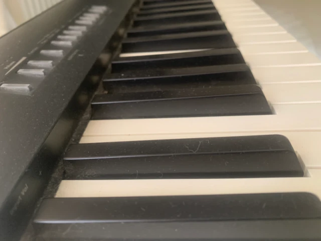 Roland FP-30X