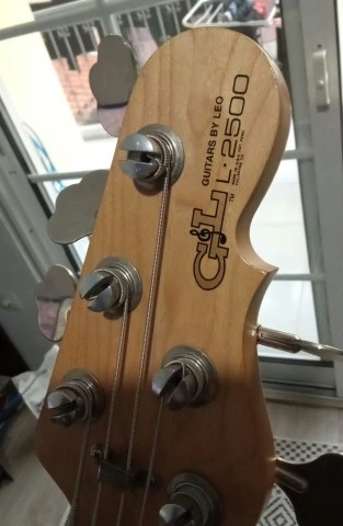 G&amp;L L-2500