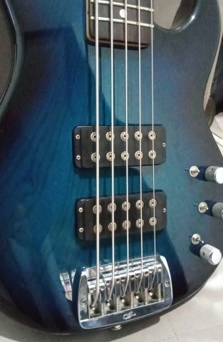 G&amp;L L-2500