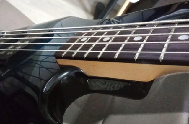 G&amp;L L-2500
