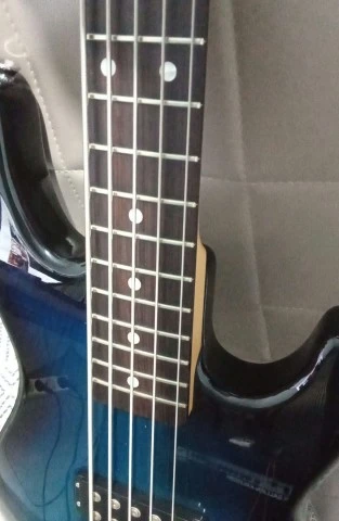 G&amp;L L-2500