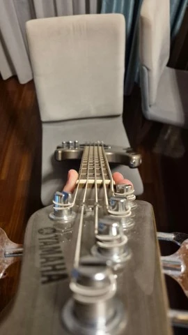 Yamaha BB615 5-String 2007 - Pewter