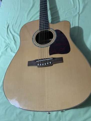 Ibanez AW30ECE