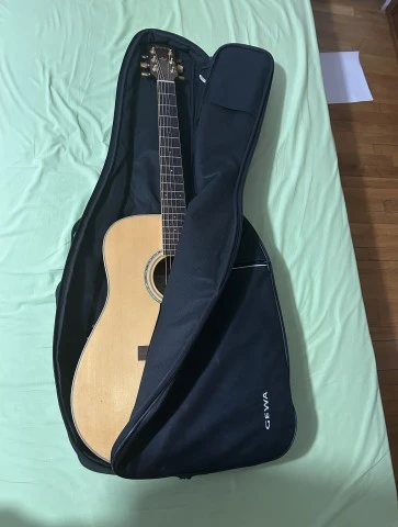 Ibanez AW30ECE