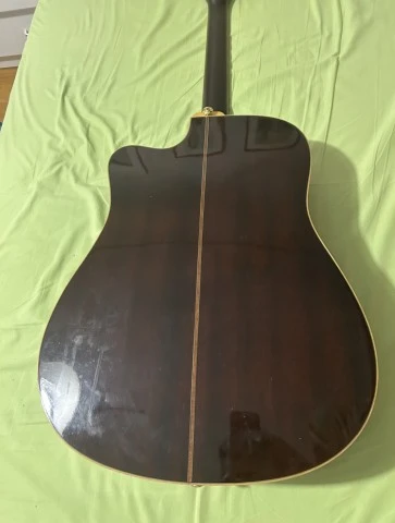 Ibanez AW30ECE