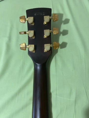 Ibanez AW30ECE