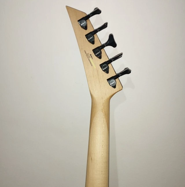 Jackson David Ellefson CBX V