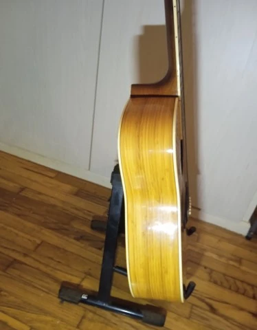 Yamaha FG-B1N