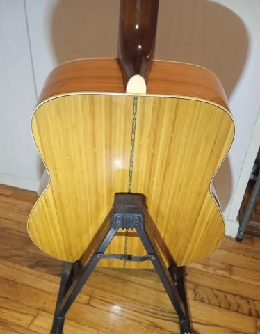Yamaha FG-B1N