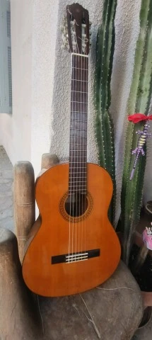 Yamaha CG-100