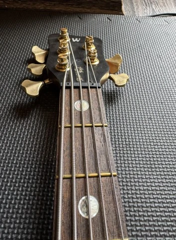 Warwick Streamer Stage II 5χορδο – 2008 – Γερμανίας