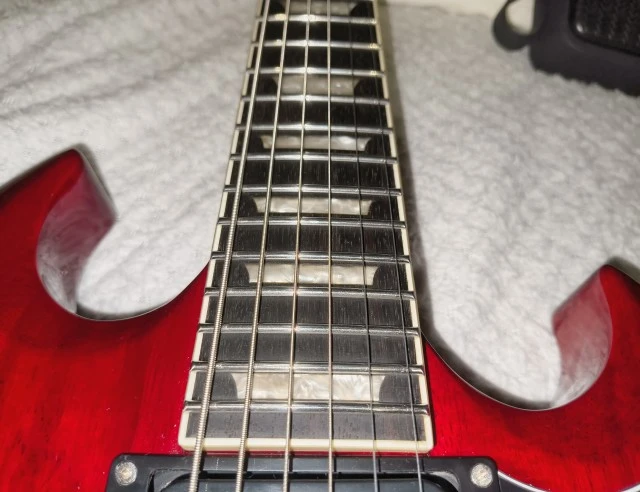 Harley Benton DC-Custom II