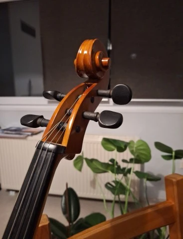 Βιολοντσέλο STAGG VNC 1/2