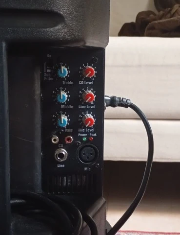 Laney CX12