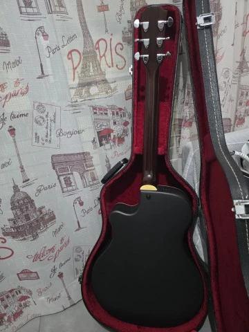 Yamaha APX6