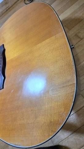 Guild D-4