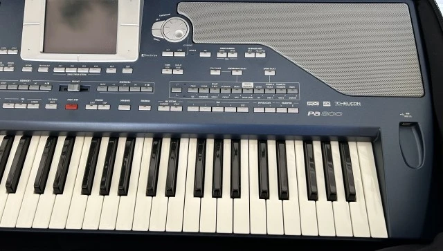 Korg PA800