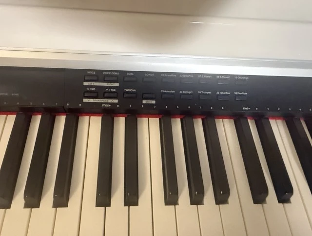 Thomann DP-51