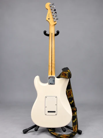 Fender Player Stratocaster MN PWT