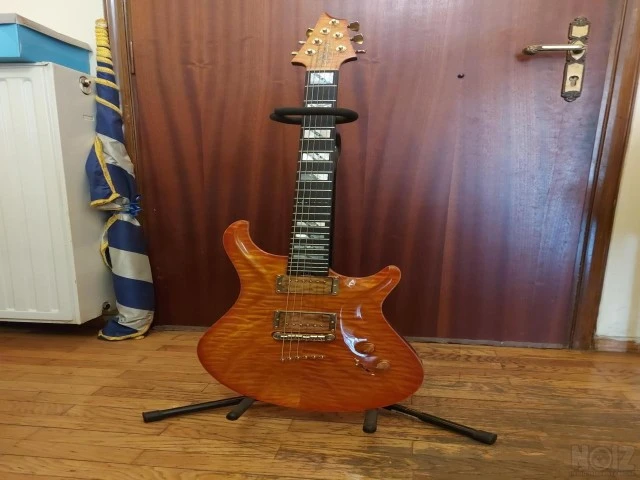 Warrior custom