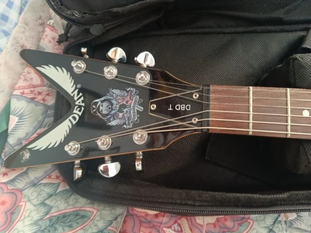Dean dimebag darell tribute guitar