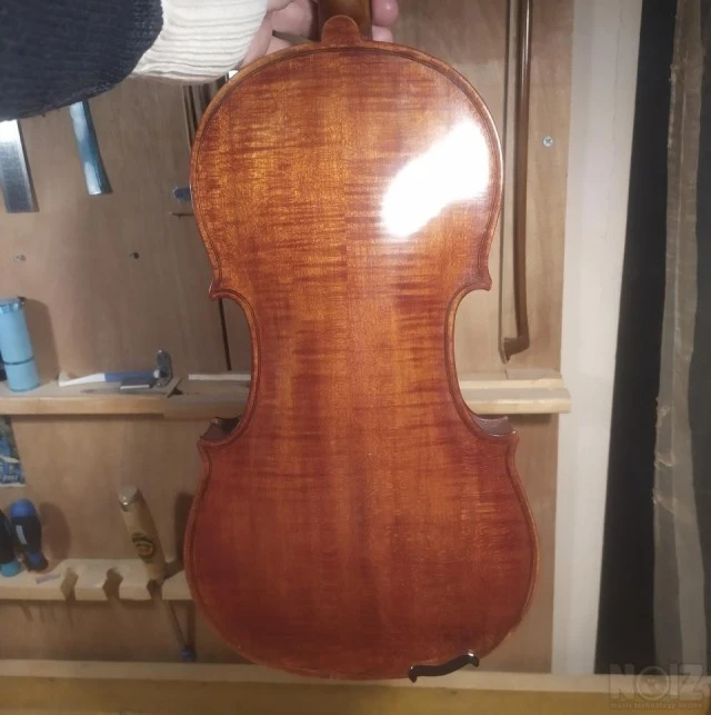 Βιολί