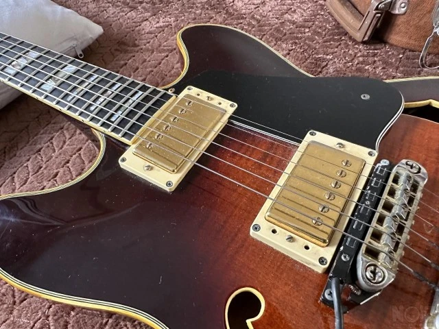 Ibanez as200