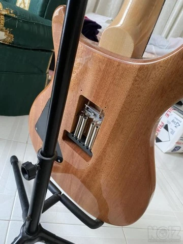 2019 PRS SE Custom 24 Trampas Green