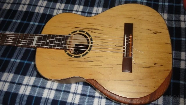 Ortega RSM-REISSUE  6χορδο μπάσο 