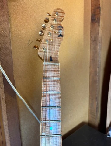 Paveza Guitar