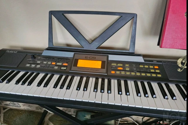Roland E-09 Αρμόνιο 61 Πλήκτρων