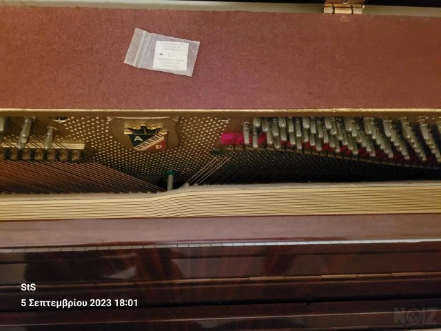 Petrof 117