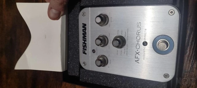 Fishman AFX Chorus