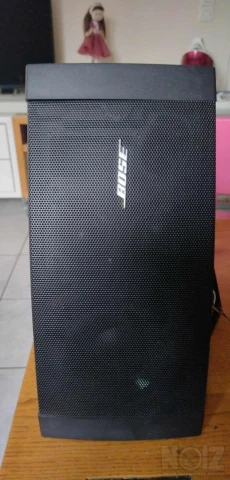 Bose DS 100CE