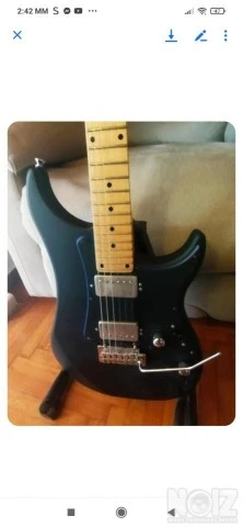 Vigier Excalibur Indus HH,Tremolo