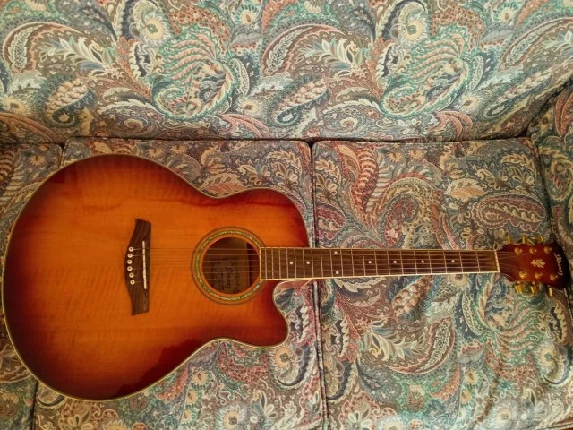 Ηλεκτρακουστική Ibanez ael20
