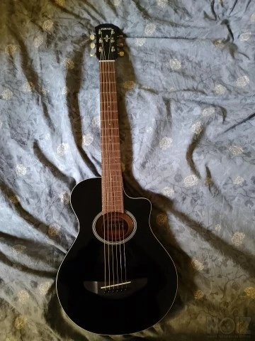 Yamaha APX T2
